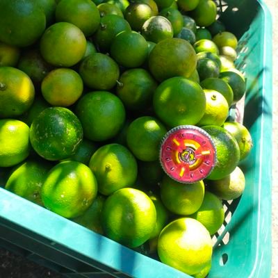 YmZovycHXuKT1uv's profile picture. 九州長崎のベイブレード狂。対人戦はしたいけど、あまり行けず。代わりに2016年10月から毎日インスタに無編集バトル載っけて1万4千戦 越え！
 hayapytusimaru
https://t.co/4W23kB2EAI