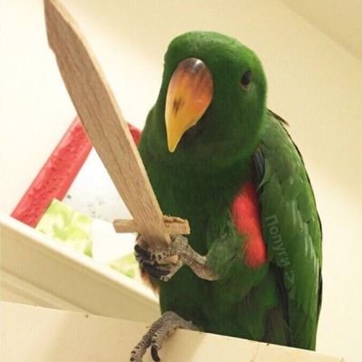 6e8aTSy's profile picture. 성인여성. / AI관련 모든 창작물× 챗지피티, 그록 등등 직멘 X 그 외는 알아서 거릅니다 / 이것저것 백업하는 계정 / 장르고정×