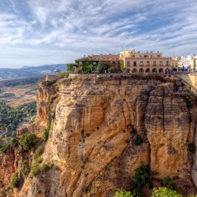 deedee41566u's profile picture. 