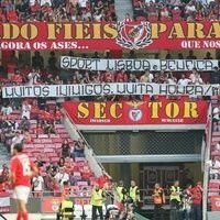 RafaelBalt81312's profile picture. 