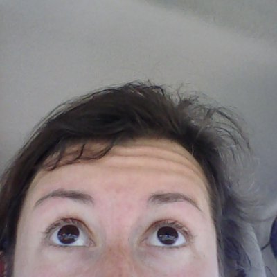 SunnyFrey's profile picture. this and that and Italian seasoning.
 
To know and to be 'nnoyin
  -- -- -- - the spectrum of freedom -