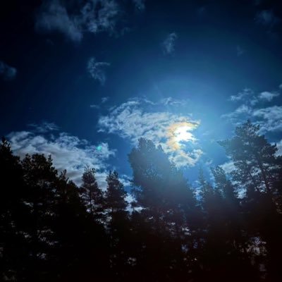 norrskenmd's profile picture. kanıyorsa veya acıyorsa benliktir.