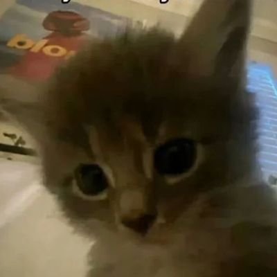 yao45216's profile picture. 