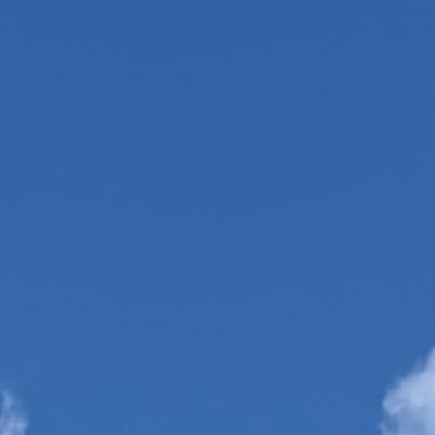 grantlmrx's profile picture. 