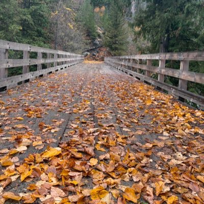 HappyDave1776's profile picture. 