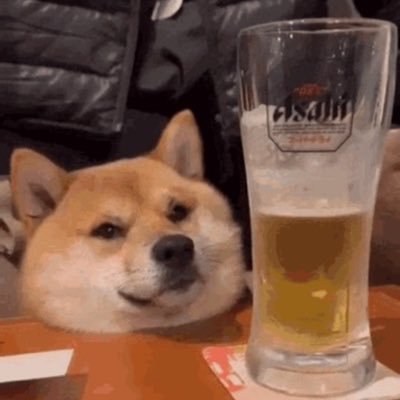 chasingxs's profile picture. 