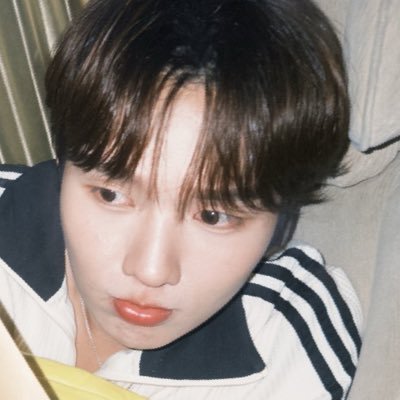 bunniegoround's profile picture. 