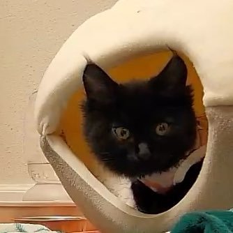 estherdxx25's profile picture. 