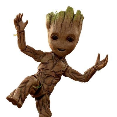 gR00T_0x1's profile picture. 