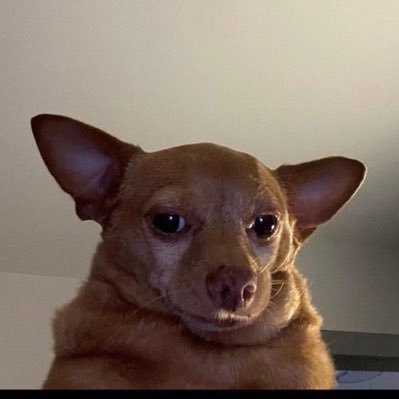 Adukepounds_'s profile picture. 💙 || VIRTUAL ASSISTANT ||