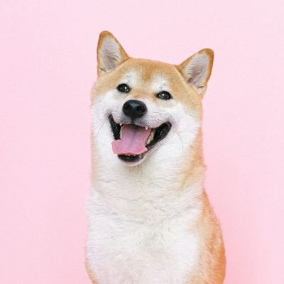 infinityxpro's profile picture. Using x since Elon musk bought it