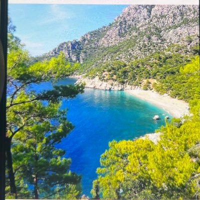 morgenfreemanwu's profile picture. 