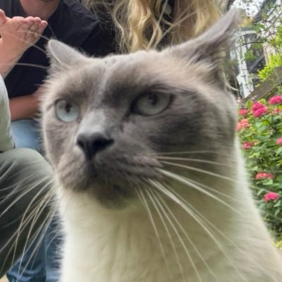 IsThatSTVN's profile picture. 