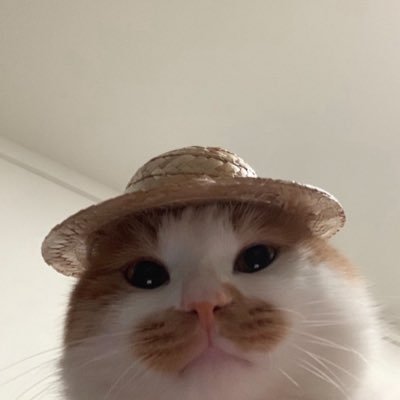 Distr2ss's profile picture. @N7_Pina ᥫ᭡