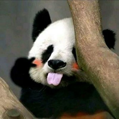 SunQianLab's profile picture. アイテム、魔法おばば