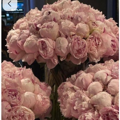 classicopers's profile picture. ne akilem ne divane just dr.