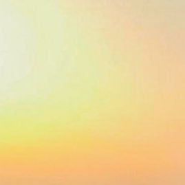 Jallow383363's profile picture. 