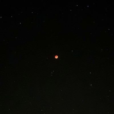 AminJ65741's profile picture. فالو،فالو بک