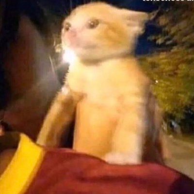 enreda2os's profile picture. SysAdmin 💻 | Trompetista 🎺 | Me gusta el ajedrez y patinar ♟️