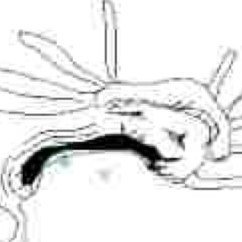 birchsearch's profile picture. holy shit im finally changing this bio
i draw! :D don't post much tho! cause this site stinks!
basic DNI list, nsfw n all that slop get out
Beware the Swines.