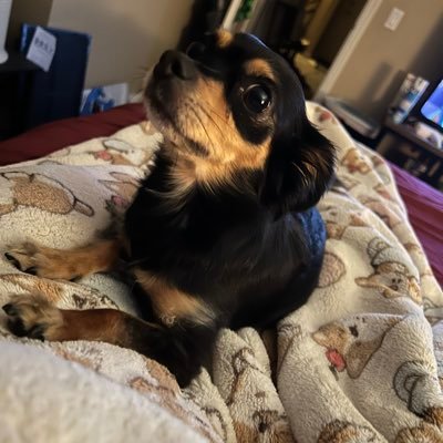 heart0ut182's profile picture. let’s talk about blink, FOB, Panic!, TØP, The 1975, etc etc you get the point i love bands