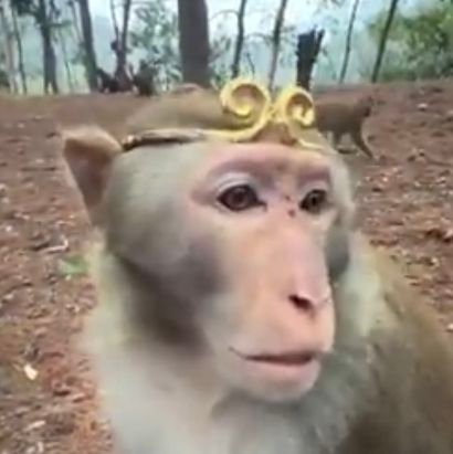 JB_MMIV's profile picture. 20 y
Any Pronouns
🏳️‍🌈🇧🇷🇵🇸
Metroid Fan