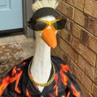 GoosieyFx's profile picture. 
