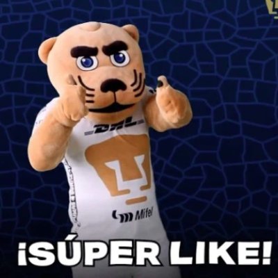 DvbRocio62688's profile picture. 