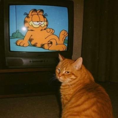 BasedGarfield7's profile picture. Lasagne
