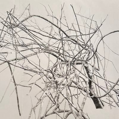 headrushxx's profile picture. (new acc)