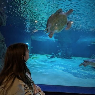 goldenlikeevie's profile picture. “𝐼'𝑣𝑒 𝑎𝑙𝑤𝑎𝑦𝑠 𝑎𝑛𝑑 𝐼'𝑙𝑙 𝑎𝑙𝑤𝑎𝑦𝑠 𝑙𝑜𝑣𝑒 𝑦𝑜𝑢”❤️‍🔥 Just a girl who loves a lot of different things 🤍 swiftie 🫶🏻