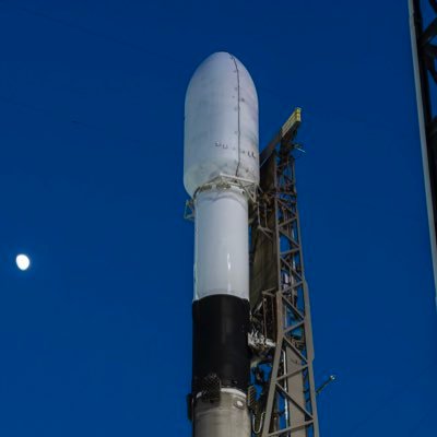 Elon614382's profile picture. CEO, Tesla🚘 inc, space X 🚀