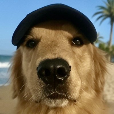 dilimeth's profile picture. ♠️ ♥️♣️♦️