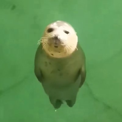 ALZST4RR's profile picture. i love fish and microplastics 🌌 || ☆fucker || #parxtwt #f1twt #multifandom | #1 little violence stan 🛸 | dont you know its that gloom boy season !?ೀ |⁸¹₁₆⁶³₃₃