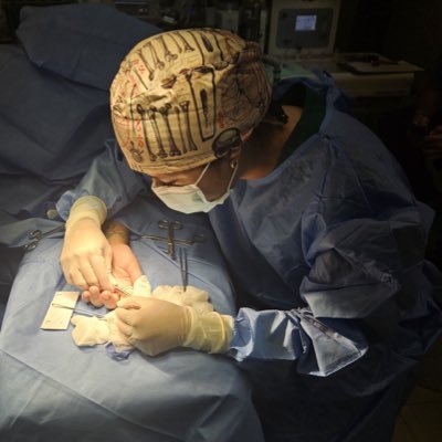 StefanyDiazN's profile picture. 