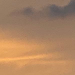 djdufj184685's profile picture. 