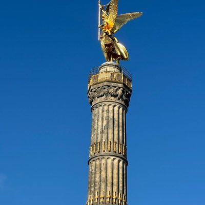 925ggt8z59's profile picture. 