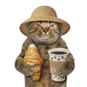 therusticshelf's profile picture. :)