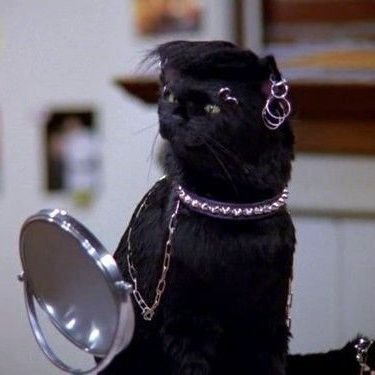 la_gorgona's profile picture. It's you. It's me. It's us.
The rest is confetti.