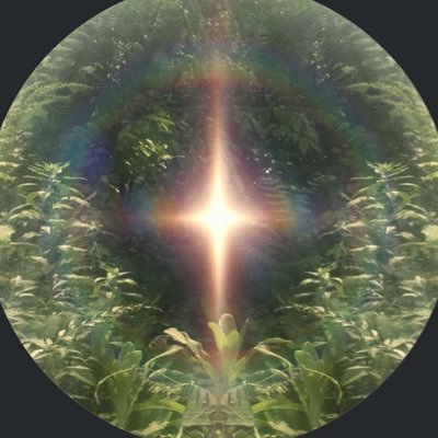 ali3nkittie's profile picture. 