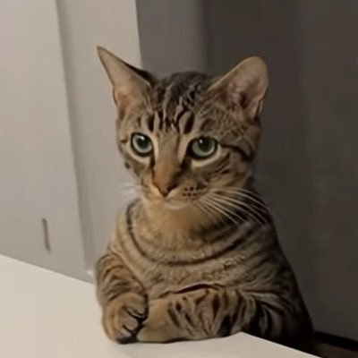 sleepylbp's profile picture. 