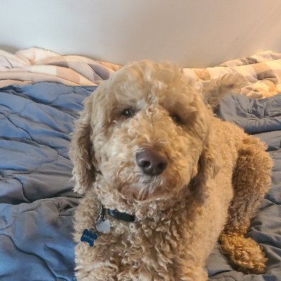 charlesbrian98's profile picture. 