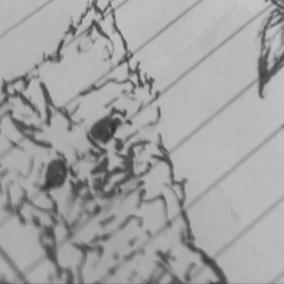 bansheeboness's profile picture. 🪽🦴 spread kindness and love 🤍