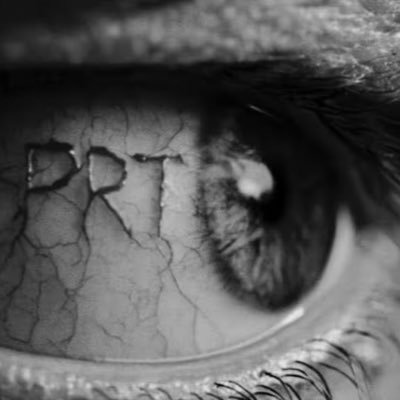 KrmPiraterie's profile picture. PRT OR NOTHING🪖 @Booba 👑 @lapiraterieshop @prtlabofficial @sublifemusic #LPNJF #92i 🏴‍☠️