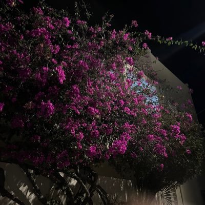 sxvoj3's profile picture. اللهمّ ارزقنا العلم النّافع الذي يقربنا مِنك، وينفعنا في حياتنا الدنيا، ويؤنس وحدتنا بها