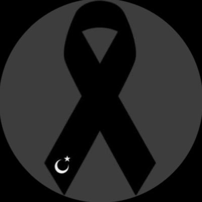 C3reenY's profile picture. TÜRK TÜRKÇÜ ATATÜRKÇÜ