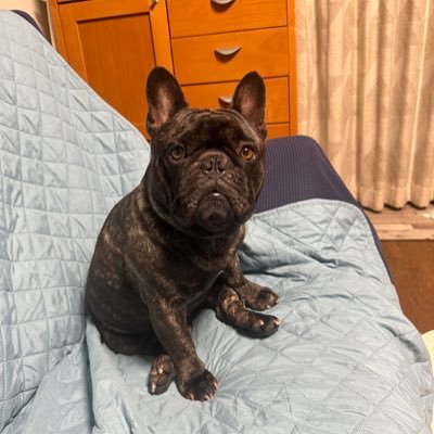 RenMemenao1616's profile picture. アカウント乗っ取りにあい、新たに作成しました。かなりおとなのスノ担箱推しです。皆様の情報見させていただいております。