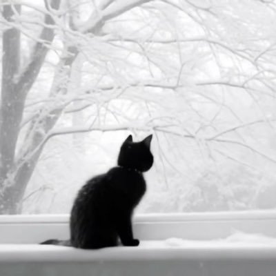 0xkioto's profile picture. eternal @optimist