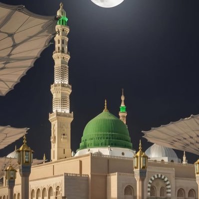 Tanomadu's profile picture. Syrian researcher in contemporary political history