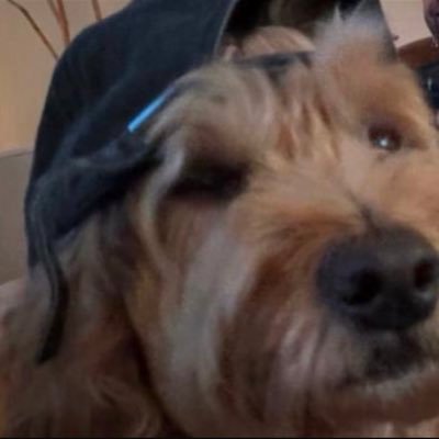 paranaomore's profile picture. i’m sorry i’m silly